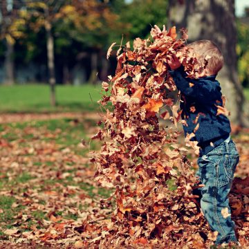 10 rzeczy, które należy wykonać w ogrodzie jesienią