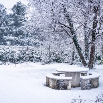 Jak sprawić, żeby zimą ogród był piękny? Podpowiadamy!