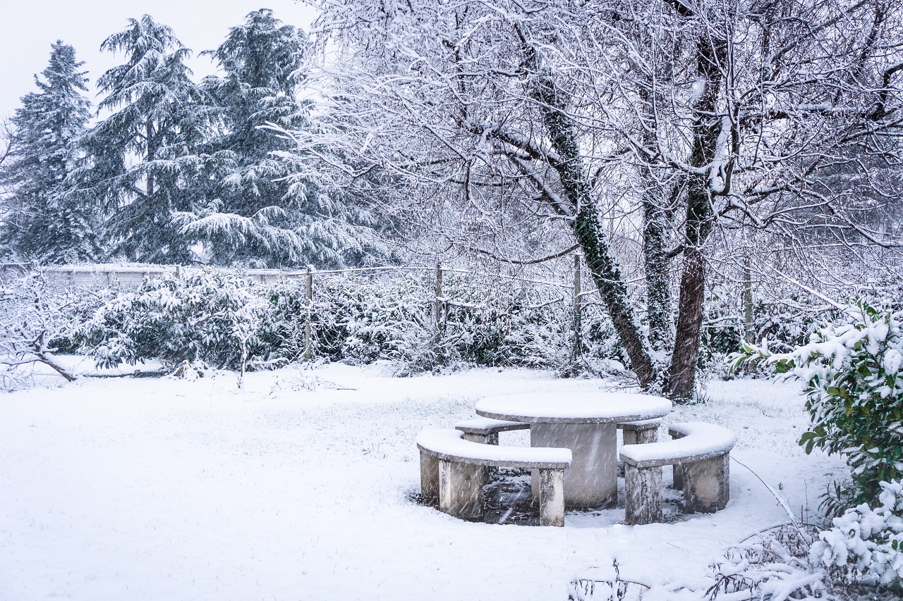 Jak sprawić, żeby zimą ogród był piękny? Podpowiadamy!