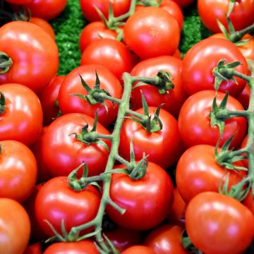 Uprawa pomidorków koktajlowych – od czego zacząć?