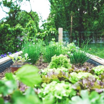 Jakich preparatów używać w ogrodnictwie?