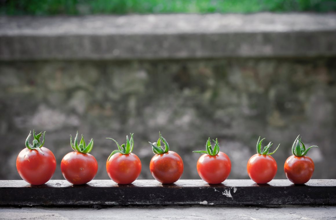 Warzywa na balkonie – przyjemność blisko natury