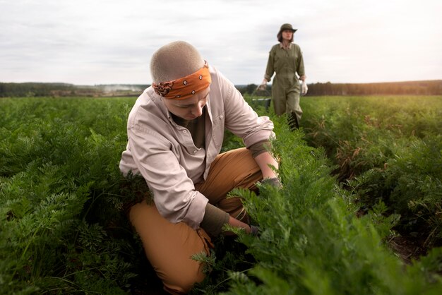 Zastosowanie herbicydów w ochronie upraw rolniczych i ogrodniczych: poradnik dla początkujących